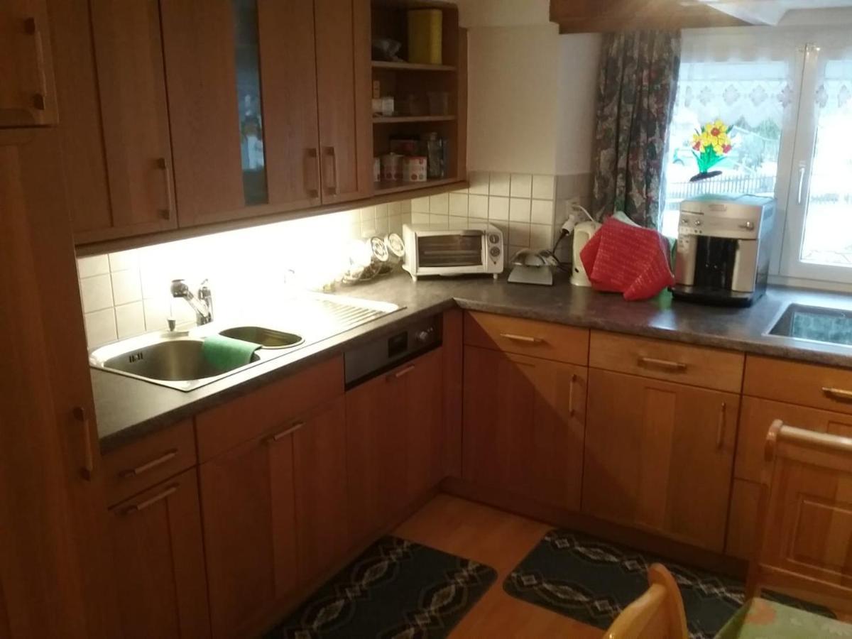Walser Chalet Casa Paterna Disentis Εξωτερικό φωτογραφία