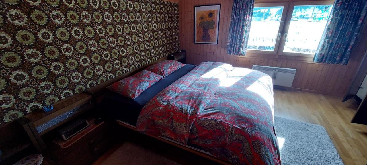 Walser Chalet Casa Paterna Disentis Εξωτερικό φωτογραφία